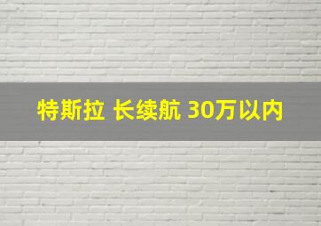 特斯拉 长续航 30万以内